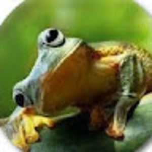 Meet your Posher, Janis